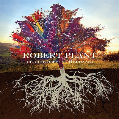 Robert Plant - Digging Deep: Subterranea - Import 2 CD Limited Edition