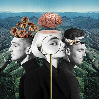 Clean Bandit - What Is Love? (Standard) - Import CD