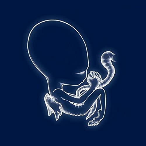 Sigur Ros - Agaetis Byrjun (2LP Vinyl) - Import Vinyl 2 LP Record