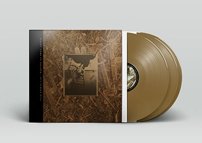 The Pixies - Come On Pilgrim - It's Surfer Rosa (Bronze Vinyl) - Import Vinyl 3 Vinyl Record