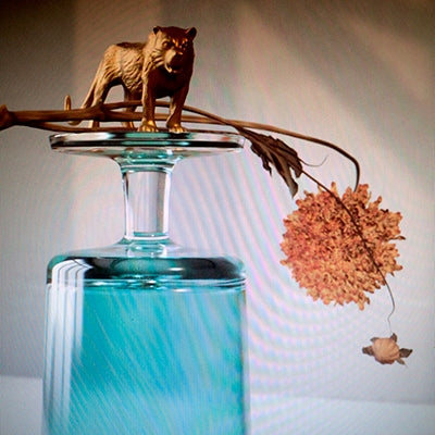 Beirut - Gallipoli - Import CD