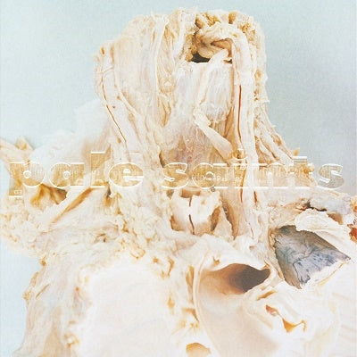 Pale Saints - In Ribbons - Import Vinyl LP Record
