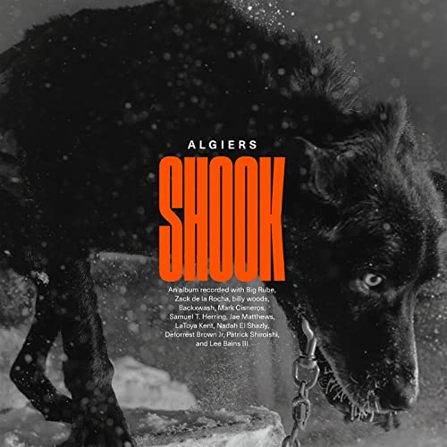 Algiers - Shook - Import CD