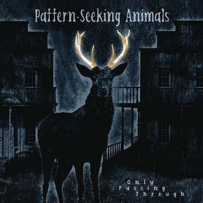 Pattern-Seeking Animals - Only Passing Through - Import CD
