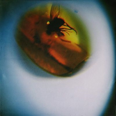 April + Vista - Traditional Noise - Import Translucent Fly Green Vinyl LP Record