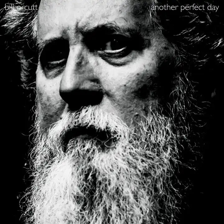 Bill Orcutt - Another Perfect Day [Cd] - Import CD