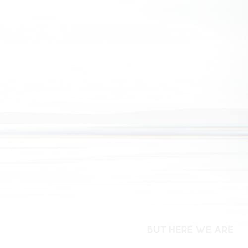 Foo Fighters - But Here We Are - Import CD