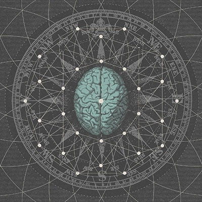 Bipolar Architecture - Metaphysisize - Import Vinyl LP Record