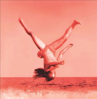 Vertical Horizon - Everything You Want (25Th Anniversary) - Import Orange Clear Vinyl LP Record Limited Edition