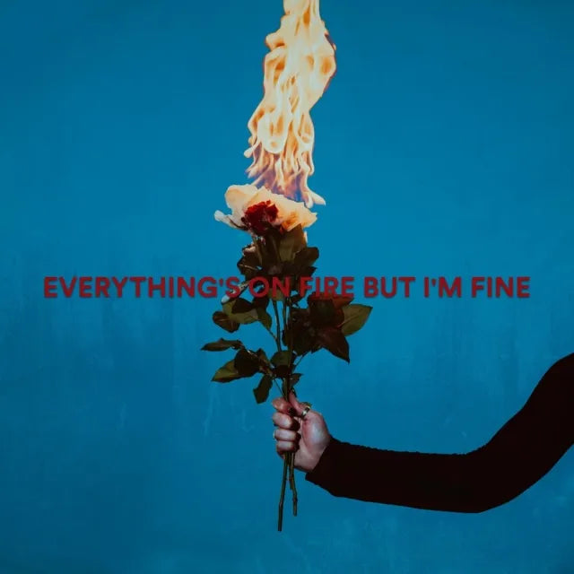 As December Falls - Everything'S On Fire But I'M Fine  - Import CD
