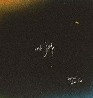 Mt. Joy  -  Hope We Have Fun  -  Import CD