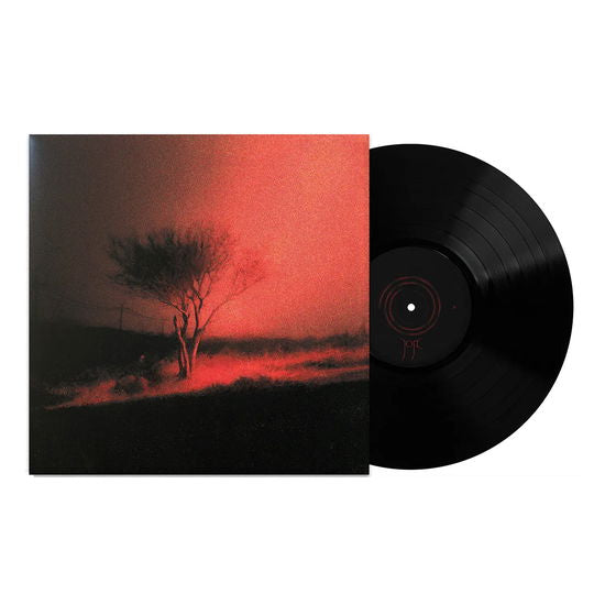 Joji - Piss In The Wind - Import Vinyl LP Record