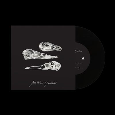 Jason Molina 、 Mj Lenderman - The Last Three Human Words (Demo) / Just Be Simple - Import Vinyl 7 inch Single Record