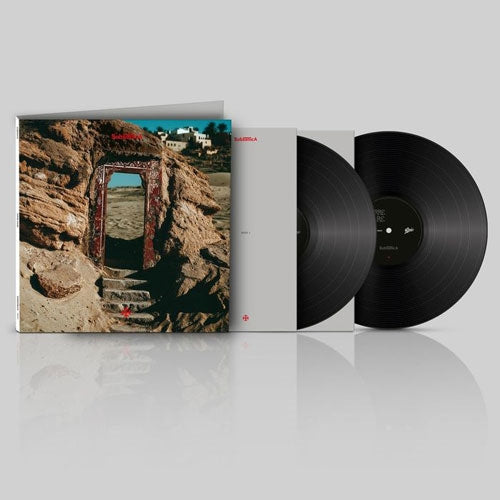 Subsonica - Terre Rare - Import Vinyl 2 LP Recurd Limited Edition