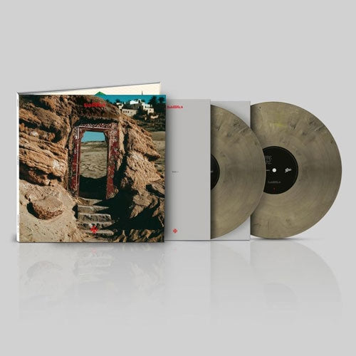 Subsonica - Terre Rare - Import Marbled Grey Vinyl 2 LP Recurd Limited Edition