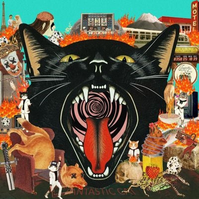 Fantastic Cat - Cat Out Of Hell - Import Vinyl LP Record