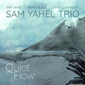 Sam Yahel Trio - Quiet Flow - Import CD