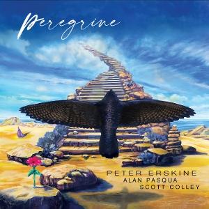 Peter Erskine 、 Alan Pasqua 、 Scott Colley - Peregrine - Import CD
