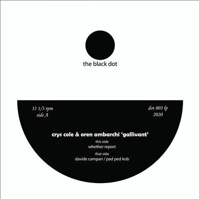 Oren Ambarchi、Crys Cole - Gallivant - Import LP Record