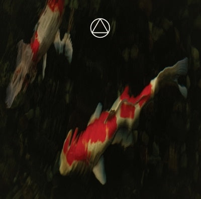 A Mountain Of One 、 dip in the pool - Soft Landing - Japan 7’ Single Record Limited Edition