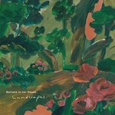 Mariana In Our Heads - Landscapes - Japan Vinyl LP Record