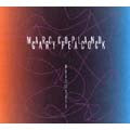 Marc Copland、Gary Peacock - WHAT IT SAYS - Japan CD