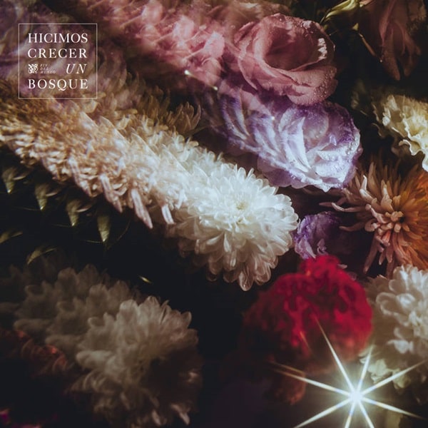 Fin Del Mundo - Hicimos Crecer Un Bosque - ImportClear Lavender VinylLP Record