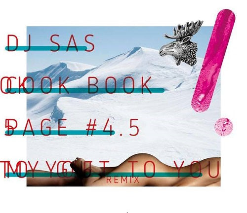 Dj Sas(Ex.Dj S@S) - Cookbook Page #4.5 ~My Gift To You Remix~ - Japan CD