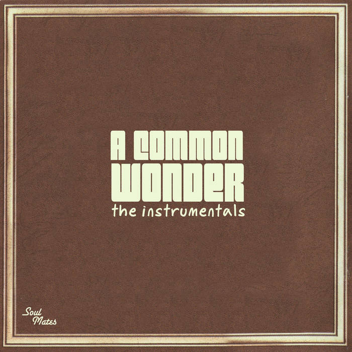 Common Vs Stevie Wonder - A Common Wonder Instrumentals - Import Vinyl 2 LP Record