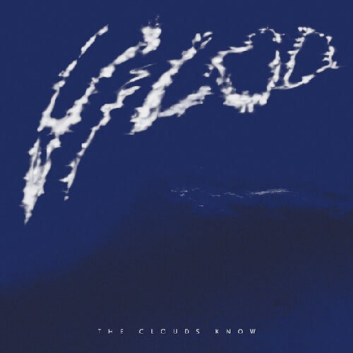 Vilod (Ricardo Villalobos & Max Loderbauer) - Clouds Know - Import Vinyl 2 LP Record