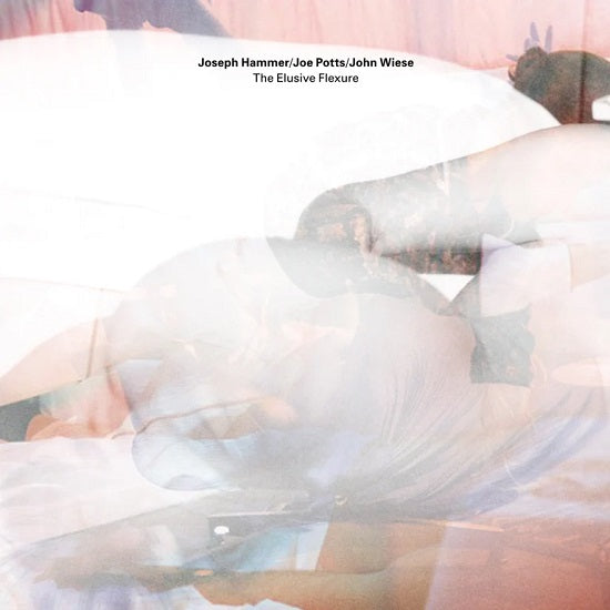Joseph Hammer / Joe Potts / John Wiese - The Elusive Flexure - Import 2 CD