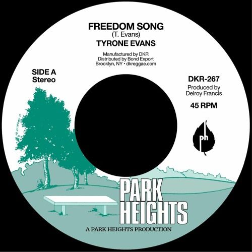 Tyrone Evans - Freedom Song - Import Vinyl 7 inch Single Record