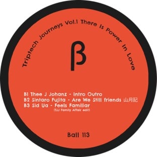Thee J Johanz - Triptech Journeys Vol.1 There Is Power In Love - Import Vinyl 12 Inch Record