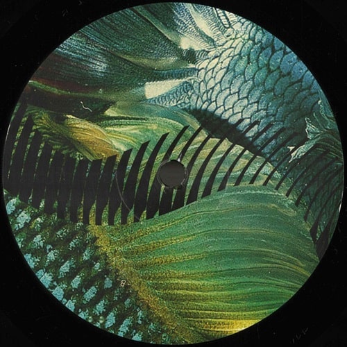 Gustavo Fridman - Dios Habla Hoy - Import Vinyl 12 Inch Record