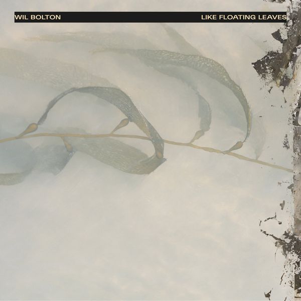 Wil Bolton - Like Floating Leaves - Import Vinyl LP Record