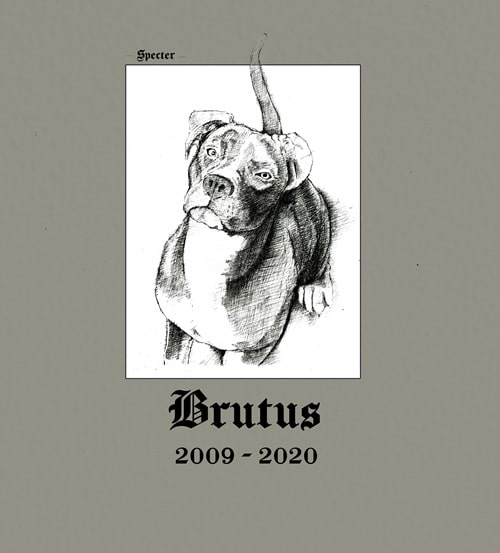 Specter (Chicago) - Brutus - Import Vinyl 2 LP Record