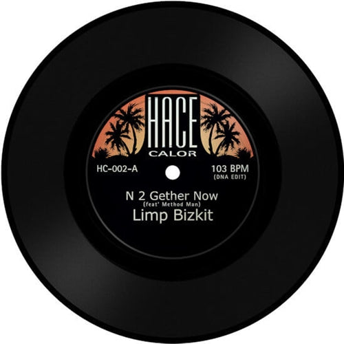 Limp Bizkit - N 2 Gether Now - Import Vinyl 7inch Single Record