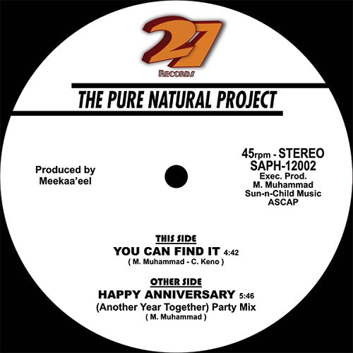 Pure Natural Project - Happy Anniversary / You Can Find It - Import 12inch Record