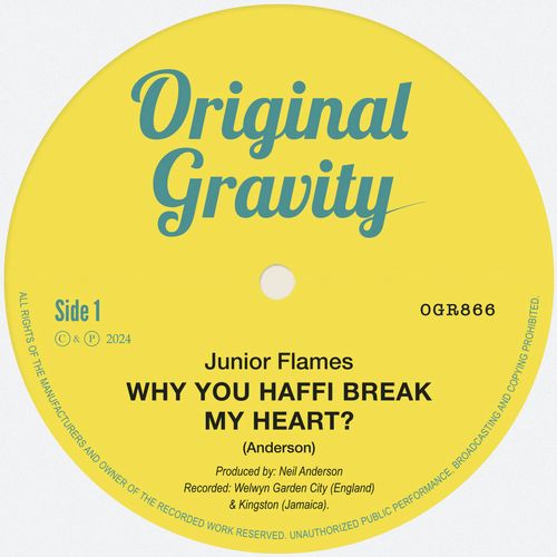 Junior Flames - Why You Haffi Break My Heart? - Import Vinyl 7’ Single Record