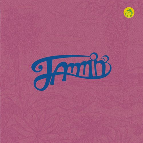 Jammin' - Jammin' - Japan Vinyl LP Record