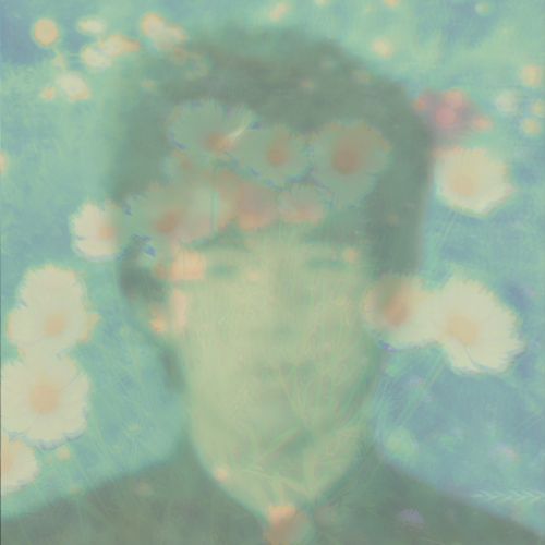 Love Wonderland - Best Twilights Of - ImportLP Record