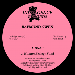 Raymond Owen - Detachment Ep - Import Vinyl 12inch Record