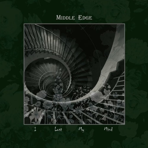 Middle Edge - I Lost My Mind - Japan Vinyl LP Record