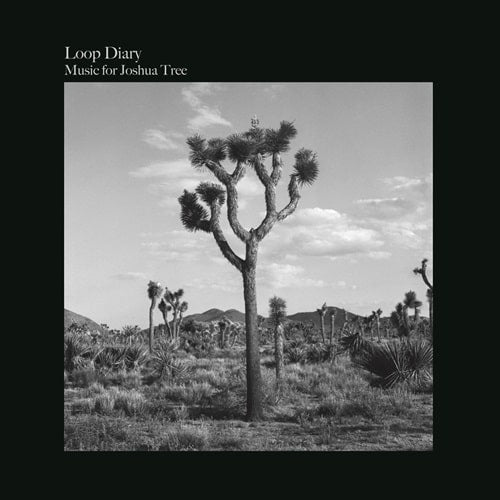 Loop Diary - Music For Joshua Tree - Japan Vinyl LP Record