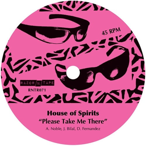 House Of Spirits - Please Take Me There - Import Vinyl 12 inch Record
