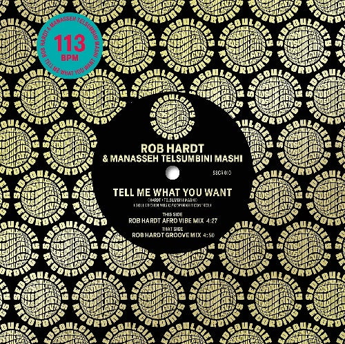 Rob Hardt & Manasseh Telsumbini Mashi - Tell Me What You Wan - Import Vinyl 7 inch Shingle Record