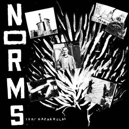 Norms - 100% Hazaarulas - Import Vinyl LP Record