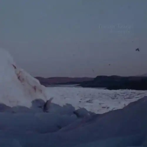 Tristan Tzara - Discography  - Import LP Record