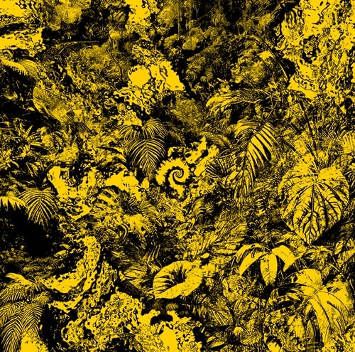 Secretsundaze - War1210 - Import12 inch Record