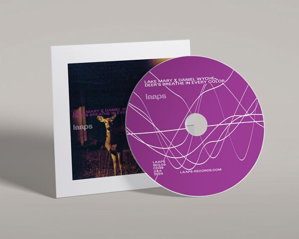 Lake Mary & Daniel Wyche - Deer'S Breathe In Every Color - ImportCD